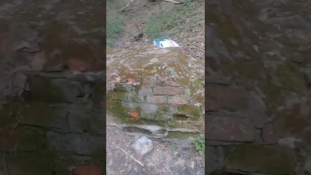 Парк метро Коломенское Остатки древних сооружений смотреть онлайн