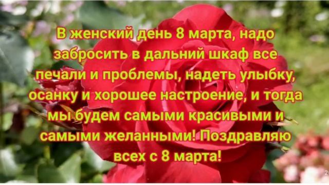 8 марта (ФУТАЖ С ПРАЗДНИКОМ 8 МАРТА)