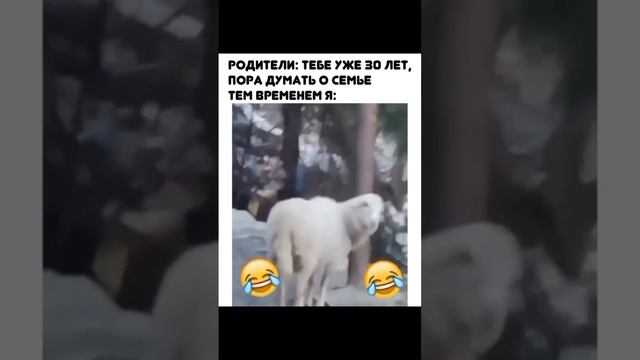 Когда тебе 30 и пора думать о серьезном) смотреть онлайн
