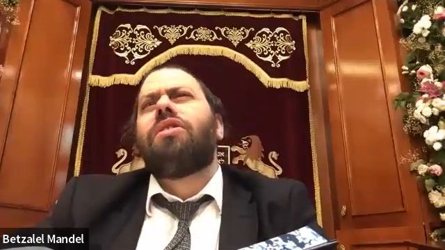 даф йоми Сота даф 33 20230529 смотреть онлайн