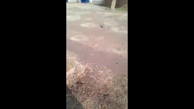 г. Гулькевичи использует земельные участки своих домовладений для костров смотреть онлайн