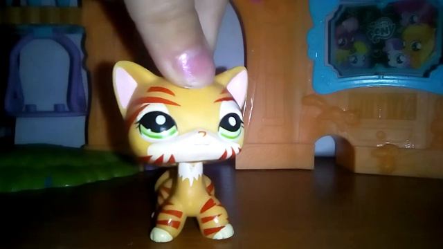 Просьба к моим 🐈 смотреть онлайн