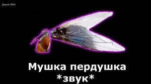 ✅По слогам -  Мушка Пердушка ??