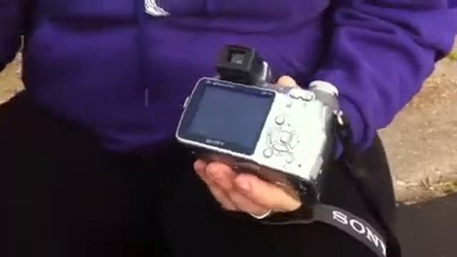 Sony Cybershot смотреть онлайн