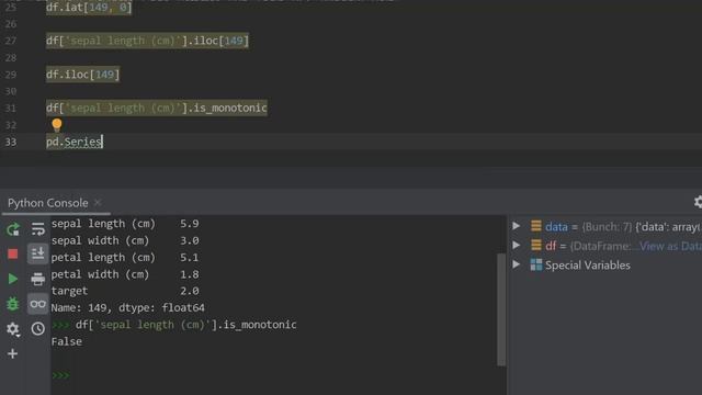 Iloc, is monotonic and is unique attributes of Series in Pandas #python смотреть онлайн