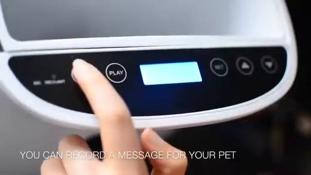 Automatic pet feeder автоматическая кормушка для собак и кошек смотреть онлайн