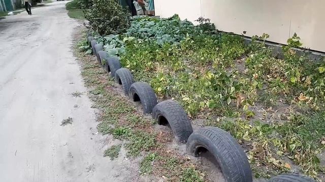 ВОТ ТАК И ЖИВЕМ..... смотреть онлайн