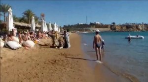 Пляжи Иль Меркато 2020г. Теразина и Ель Фанар Египет. Шарм Эль Шейх. Terrazzina, El Fanar.