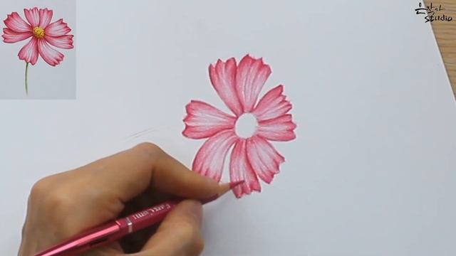 Cosmos Flower Drawing | 코스모스 그리기 | Botanical Art смотреть онлайн