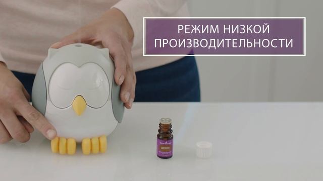 Инструкция по эксплуатации диффузора "Feather the Owl" от Young Living | Янг Ливинг Россия смотреть онлайн