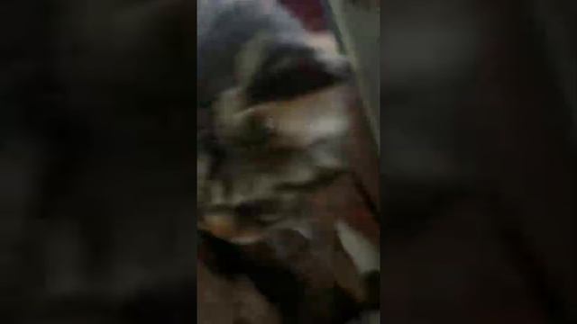 Кит поднялся жить жизнь смотреть онлайн