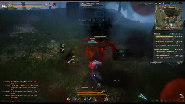 Black Desert KR - Quick Male Blader смотреть онлайн