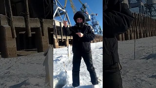 Ловим сига в черте города! смотреть онлайн