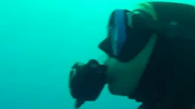 Дайвинг с акулами на Кубе.Diving with sharks in Cuba смотреть онлайн