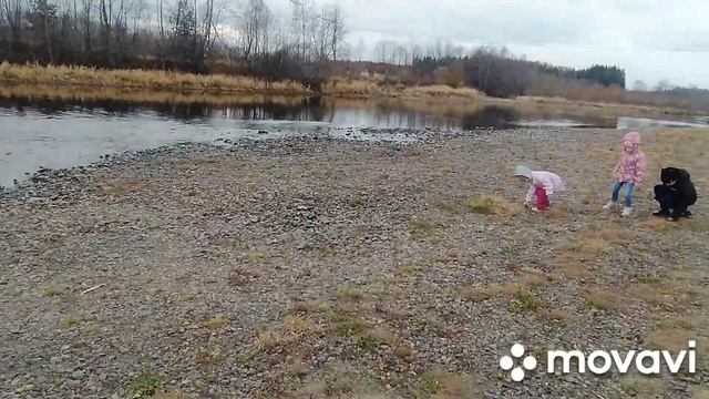 Нужна поделка Алисе в школу. Идем на речку собирать камни. смотреть онлайн