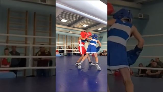 Девяткин Егор БОКС 16.11.2019. Песчанокопское Ростовская область смотреть онлайн