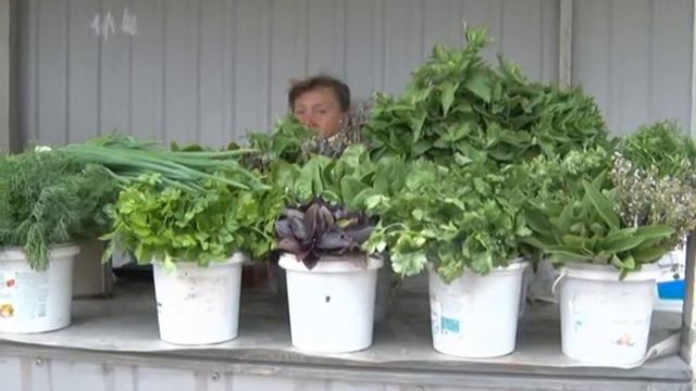 Глава администрации Заволжья Н.Х.Юмакулов провел рейд по торговым местам для садоводов, 10.06.2016