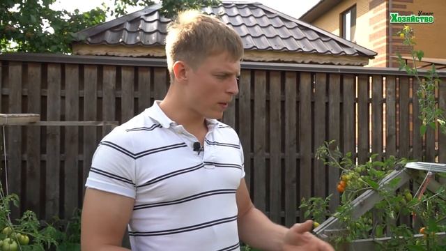 Самые!!! Самые сладкие помидоры по мнению умного хозяйства!! смотреть онлайн