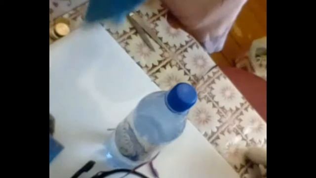 как приручить котёнка к одежде + делаем смотреть онлайн