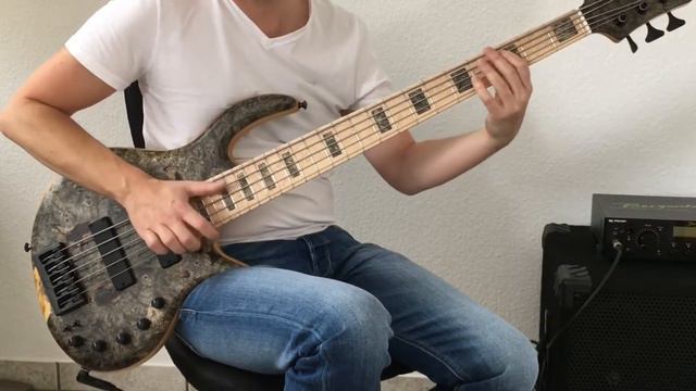 Elrick Gold E Volution 5 String Bass Sound Demo