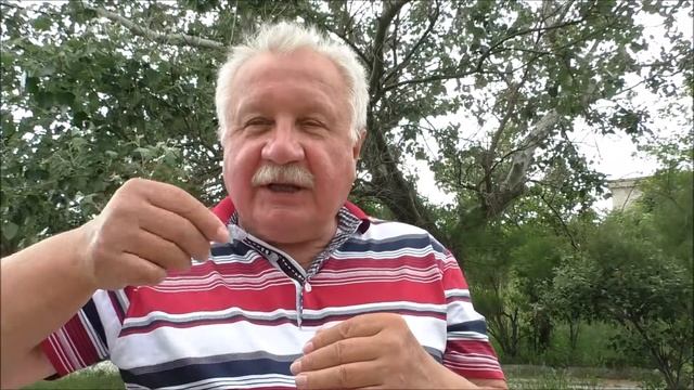 каллиграфический почерк воздействует на развитие мозга тренинг смотреть онлайн