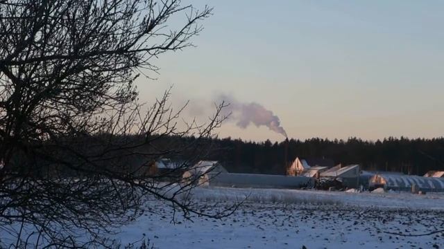 Зимний Рассвет и Закат Солнца на Полесье Украина Житомирщина (Dawn. Sun) смотреть онлайн