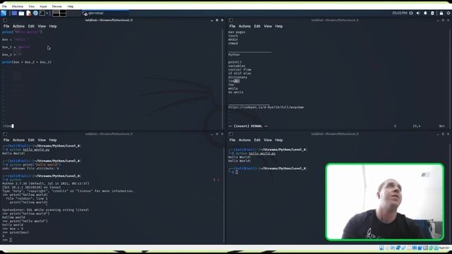 Python and Linux Beginner смотреть онлайн
