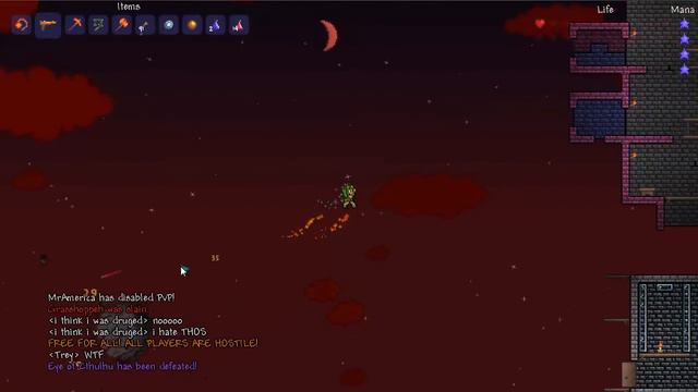 Terraria Chat amidst Chaos смотреть онлайн