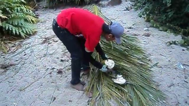 Ешь кокосы, жуй бананы... смотреть онлайн