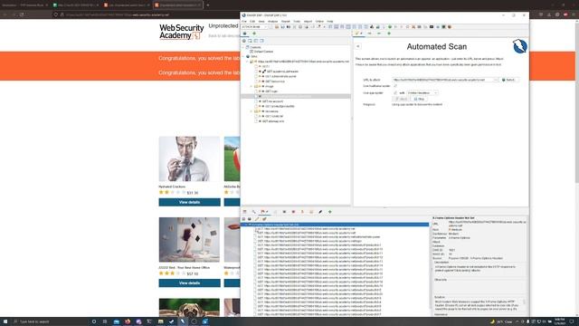 PortSwigger Lab: Unprotected admin functionality смотреть онлайн