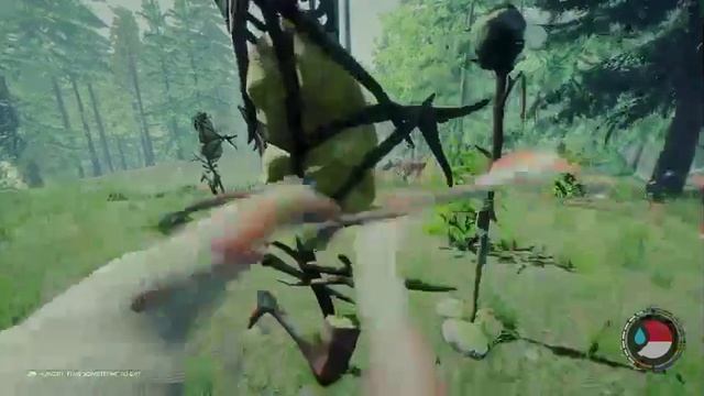 The Forest смотреть онлайн
