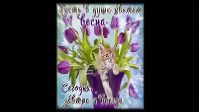 Красивое видео! Хорошего весеннего настроения!🌼🌼🌼 смотреть онлайн
