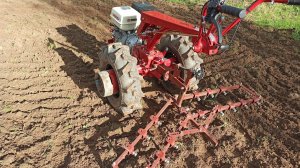 Что крепче берёза или мотоблок. Очистка огорода от сорняков. КБ-00.000. МТЗ с Weima WM188F 13л/с.