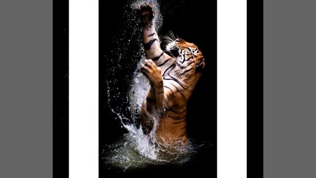 Крутые обои на телефон смотреть онлайн