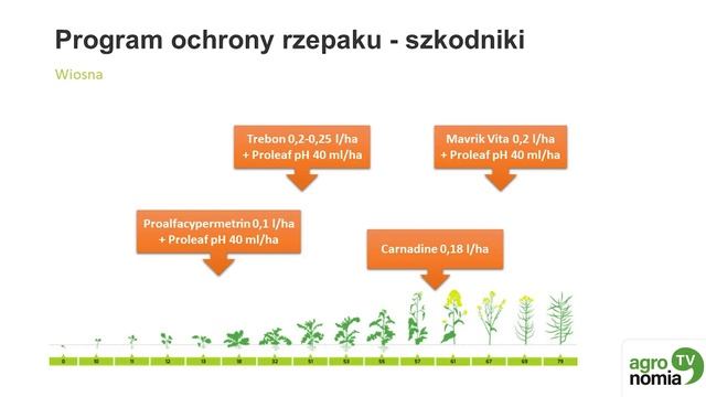 Informator Agronomiczny #Rzepak Wiedza i Działanie смотреть онлайн