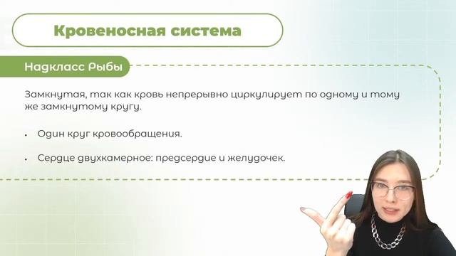 ЭВОЛЮЦИЯ КРОВЕНОСНОЙ СИСТЕМЫ | БИОЛОГИЯ | ОГЭ 2023 | 99 БАЛЛОВ смотреть онлайн