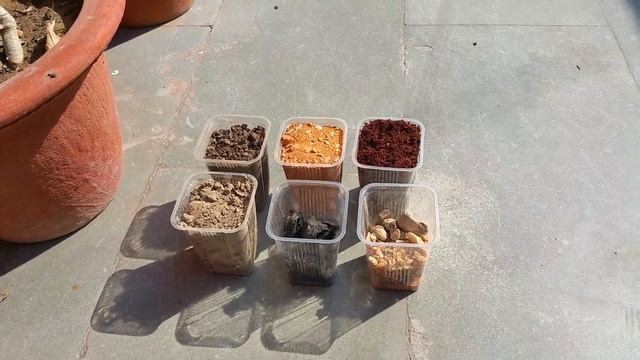 Soil mix for Adenium Plants (Age 2 year and above) смотреть онлайн