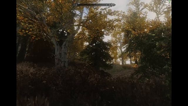 Skyrim Performance And Realistic ENB