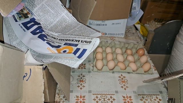 ПОСИЛКА З ЯЙЦЯМИ БЕНТАМКИ. ПОДИВИМОСЬ ЧИ ЗНЕСЛИ БОНУСНІ ЯЙЦЯ КАРЛИКИ смотреть онлайн