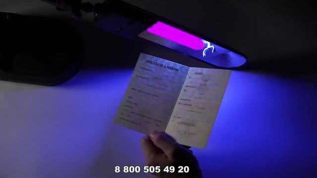 Зловещая тайна