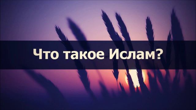 Что такое Ислам? || Абу Яхья смотреть онлайн