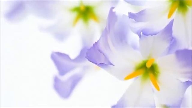 ЭПИТАФИЯ