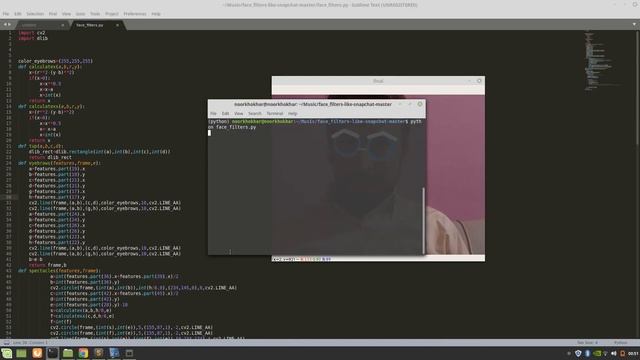 OpenCV Snapchat Face Filters with Python смотреть онлайн