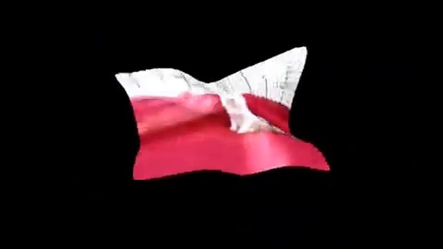 Наши гималайские котята смотреть онлайн