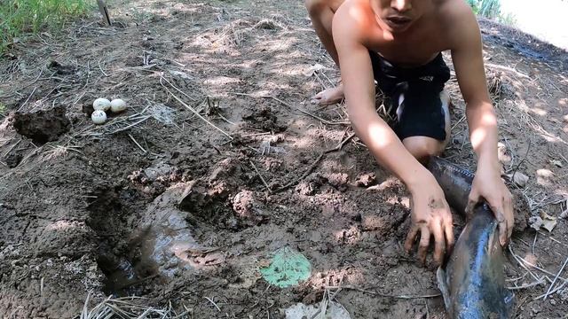 Amazing fishing, the man who used the python to catch the giant carnivorous fish in the hole смотреть онлайн