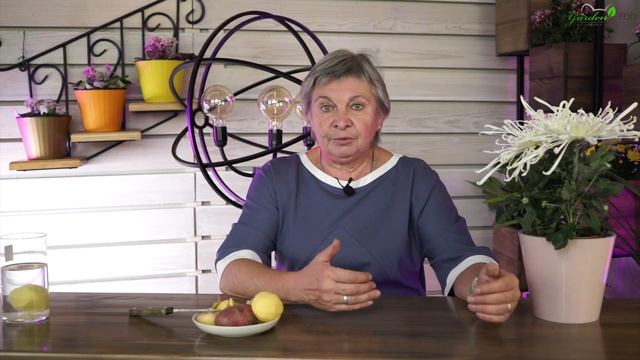 Почему Чернеет Картофель При Хранение ✔️ Можно ли есть почерневший картофель сад смотреть онлайн