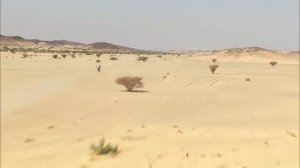 DAKAR 2021 - BEST OF MOTO