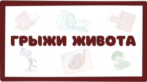 Грыжи живота - причины, симптомы, лечение (хирургия лекция)