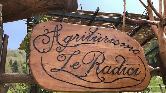 Ламы плюются? смотреть онлайн