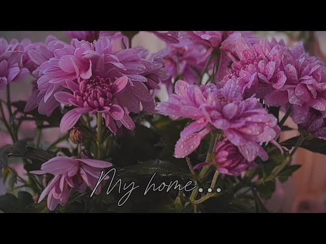 Видео для вдохновения и души❤️// My love home // Sweet home // Красивые виды// Iphone 15 смотреть онлайн